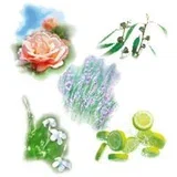 aromatične esence za vlažilec ULTRABREEZE