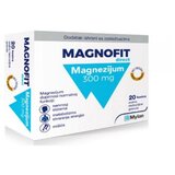Magnofit direct A20 Cene