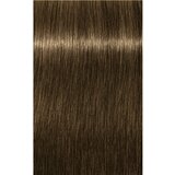 Schwarzkopf igora Color10 - 7-1 srednja blond Cendré | Shoptok.si