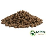 Essential Hrana za pse Dog Adult MS Older 3kg | ePonuda.com