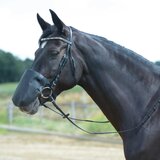 Busse Zaščita za nos FLY PROFESSIONAL velikost L, Cob/Full, črna Cene