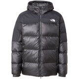 The North Face Zunanja jakna 'Diablo 2.0' črna Cene