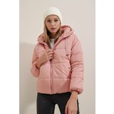Bigdart Winter Jacket - Pink - Puffer Cene