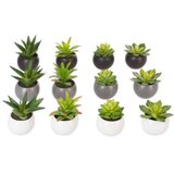 Atmosphera Set cvjeća u saksiji 13x12x13.5cm cijene