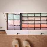  Organizatori za donje rublje - RUS04GY | shoptok.hr