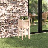  Vrtna saksija Priroda 31 x 31 x 70 cm Čvrsto borovo drvo | shoptok.hr