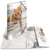 Herma Mapa z elastiko A4 PP, Glossy Mucki Cene