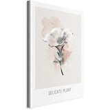  Slika - Delicate Plant (1 Part) Vertical 60x90 | shoptok.hr