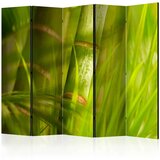  Paravan u 5 dijelova - bamboo - nature zen II [Room Dividers] 225x172 Cijene