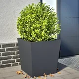 Vrtno korito 2 kosa antracit 50x50x50 cm jeklo