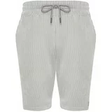 Trendyol Gray Striped Regular/Normal Fit Shorts