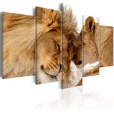  Slika - Wild Love 200x100 Cijene