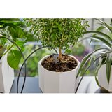 Gardena city gardening počitniško namakanje, vključno z rezervoarjem za vodo | Shoptok.si