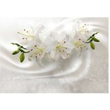 Tapeta - Romantic Glow 150x105 | shoptok.hr