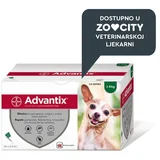 Elanco ampula za pse od 1-4 kg, 1 komad