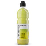 Polleo Sport L-Carnitine Pineapple, 750 ml, (20696328) | Shoptok.si