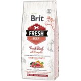 Brit Fresh Puppy Large govedina z bučo - Varčno pakiranje: 2 x 12 kg | shoptok.hr