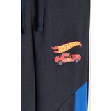 Sinsay Donji dio trenirke Hot Wheels | shoptok.hr