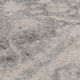 Asiatic Carpets Svetlo siva preproga 200x290 cm Muse Heritage Grey Silver – | Shoptok.si