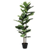  BILJKA FIKUS LIRATA 145CM ZELENA | Eponuda.ba