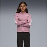 Puma Trenirka komplet Poly pisana | Shoptok.si