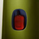 COMME des GARCONS Floriental parfumska voda 100 ml unisex | Shoptok.si