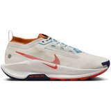 Nike pegasus trail 5 gtx, muške patike za trail trčanje, bež FQ0908 Cene