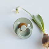 Bibs Colour duda (okrugla) - Sage (vel.2) | Shoptok.si