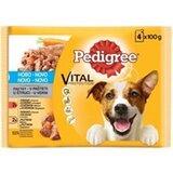  Hrana za pse Pedigre Adult Value Pack 4x100 u
