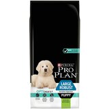 Pro Plan PURINA Large Robust Puppy OPTIDIGEST jagnjetina - Varčno pakiranje: 2 x 12 kg Cene