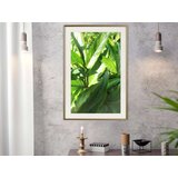  Poster - Somewhere in the Garden 20x30 | shoptok.hr