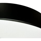  LED luster sa prigušivačem na sajli LED/50W/230V 3000-6500K crna + daljinski upravljač | Eponuda.com