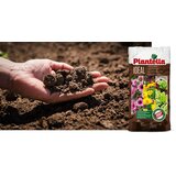 Plantella zemlja za cveće ideal 10l | Eponuda.com