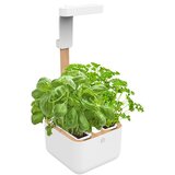  Botaneo Indoor Garden | shoptok.hr