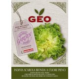 Bavicchi Ekološka endivija "blond" Cene