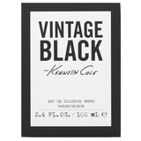 Kenneth Cole Vintage Black Toaletna voda za moške 100 ml | Shoptok.si