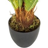 MID.YOU Umetna Rastlina Cycas | Shoptok.si
