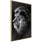  Poster - Old King 40x60 | shoptok.hr