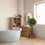 MID.YOU Umetna Rastlina Pachira | Shoptok.si