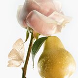 GOUTAL Petite Chérie toaletna voda za žene 100 ml | shoptok.hr