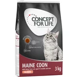 Concept for Life Snižena cijena! 10 kg / 9 kg - Maine Coon Adult losos (3 x 3kg)