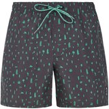  Men's beach shorts PRTGROM Cene