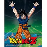 Pyramid International Dragon Ball Z 3D lentikularni plakat v okvirju škatle (Super Saiyan Goku Design) 25 cm x 20cm x 1,3cm - uradno blago, (20837493) Cene