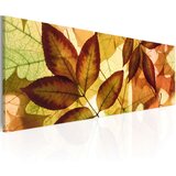  Slika - collage - leaves 135x45 | shoptok.hr