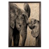 Wallity slika elephant baby, 50 x 70 cm | ePonuda.com