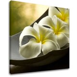  Slike na platnu feng shui (moderne slike na platnu) | ePonuda.com