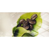Illy zrno 250 gr INTENSO | Eponuda.com