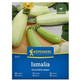 KIEPENKERL Zelenjavna semena Buča Ismalia (Cucurbita pepo, Čas žetve: Julij) | Shoptok.si