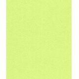Rasch tapeta 407754 Cene