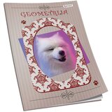  OBRAZAC ŠKOLSKI GEOMETRIJA SOFT PLUS CONNECT GIRL | Shoptok.si